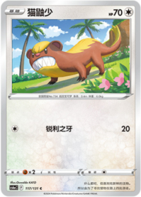 ヤングース